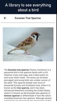 Bird Finder - All Birds Affiche