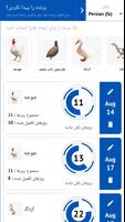 پوستر مدیر جوجه کشی تخم مرغ