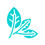 VeGyGy - Vegan recipes