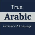 True Arabic Grammar & Language icône