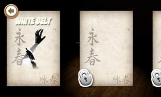 Kung fu Grandmaster ภาพหน้าจอ 1