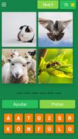 پوستر 4 Fotos 1 Animal