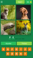 برنامه‌نما 4 Fotos 1 Animal عکس از صفحه