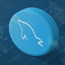 Learn MySQL APK