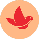 Z تطبيق الفرسان APK