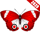 WAStickerApps - Butterfly Stickers for WA 2020 APK