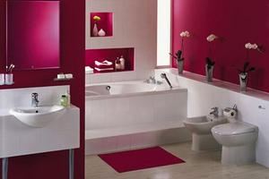 Bathroom Decorating Ideas تصوير الشاشة 2