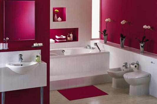 Bathroom Decorating Ideas 截图 2