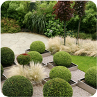 Icona Garden Design Ideas