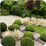 Garden Design Ideas icon