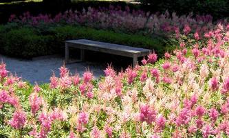 Flower Garden Ideas 截圖 2