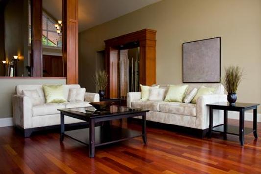 Living Room Decorating Ideas 截图 10