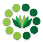 Zalisha icon