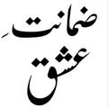 Urdu Novels offline Reading
