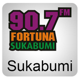 Fortuna FM أيقونة