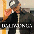 Daliwonga All Songs & Albums APK