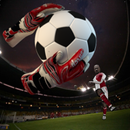 Goleiro Mundo Futebol APK