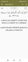 Urdu English Idioms syot layar 2