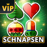 Schnapsen Offline -Kartenspiel