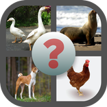 Teka Nama Haiwan A-Z