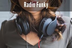 radio funky скриншот 2