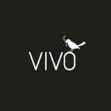 vivo font changer