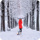 Snow Fall Wallpapers أيقونة