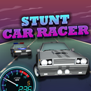 Stunt Car Racer 3D car racing APK