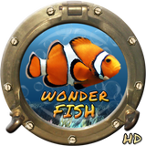 Wonder Fish 無料ゲーム HD アイコン
