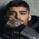Zayn Malik HD Wallpaper icon