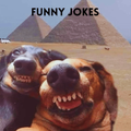 Funny Jokes