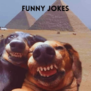 Funny Jokes APK
