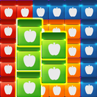 Fruit Block Blast icône