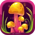 Mystery Forest