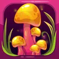 Mystery Forest