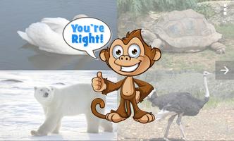 Zoo Animals Guessing Game screenshot 1