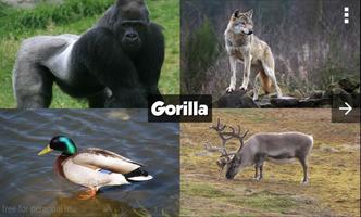 2 Schermata Zoo Animals Guessing Game