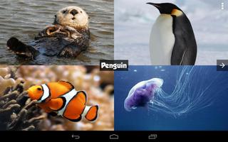 Ocean Animals Guessing Game Ekran Görüntüsü 2