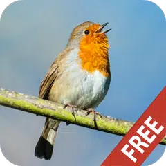 Bird Sounds Ringtones APK download