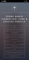 Zebra Danio Fish Care Guide постер