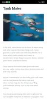 Zebra Danio Fish Care Guide скриншот 3