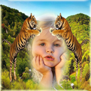 Cadre photo de faune animale APK