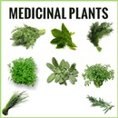 Medicinal plants Book APK