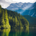 Nature Wallpaper