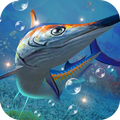 Fishing Hooked King 2019