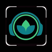 zema pro icon