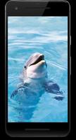 Galaxy Water 3D Live Wallpaper Affiche