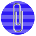 Wearable Observer Data