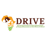 Drive