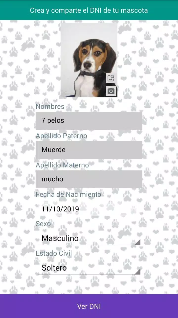 Dni Vacio Para Rellenar Descarga de APK de DNI para mascotas Perú para Android